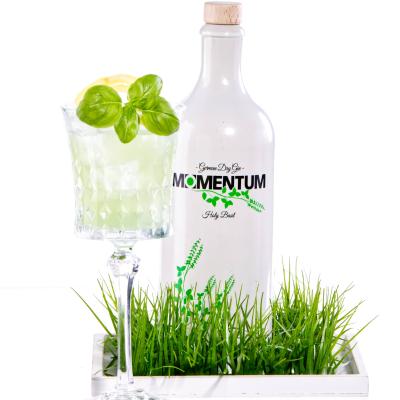 Knorr Photography Momentum Gin005