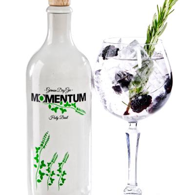 Knorr Photography Momentum Gin012