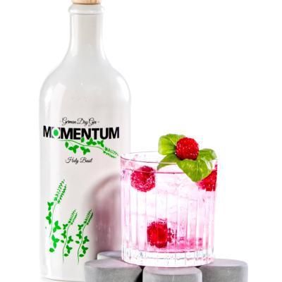 Knorr Photography Momentum Gin017
