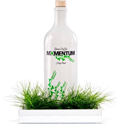 Knorr Photography Momentum Gin021